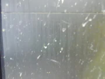 Adiraxo Chaturbate profile image