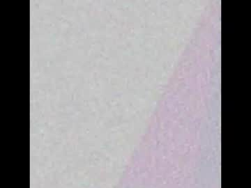 Bella_Clark2