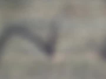 Jason2019845210 Chaturbate profile image
