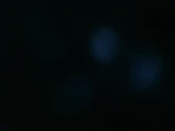 Themanbehind1288 Chaturbate profile image