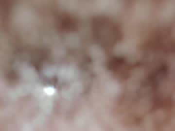 Profile of ara_walton