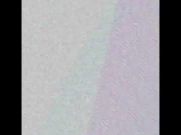Profile of desert_fox_cock