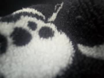 Drpops911 Chaturbate profile image