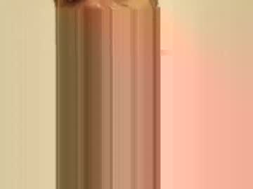 R04233054