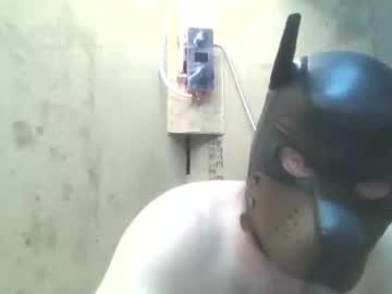 Stier_89 Chaturbate profile image