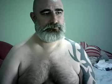 Urso1978br Chaturbate profile image