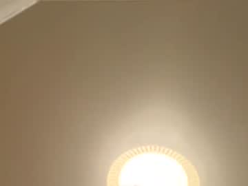 Cumshowserytime Chaturbate profile image