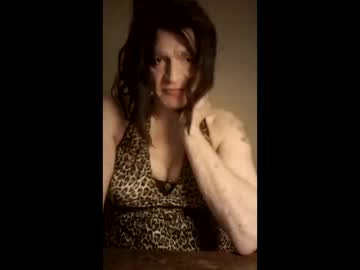 Anything4alll Chaturbate profile image