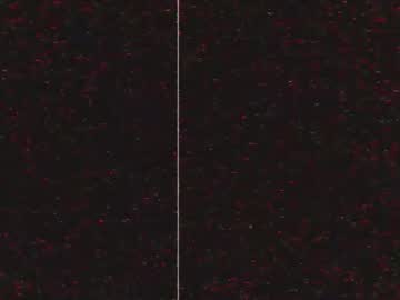 Iaboy66 Chaturbate profile image