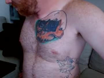 Profile of iheartpenguins