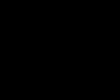 Lidialeo