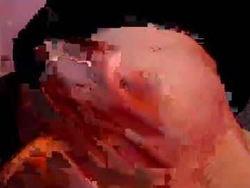 Profile of xandorrax