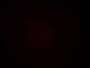 Pivee86xx Chaturbate profile image
