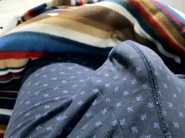 Pulga312299 Chaturbate profile image