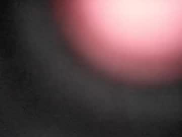 Profile of pureblood84