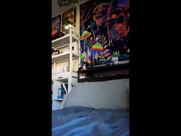 Dpunk213