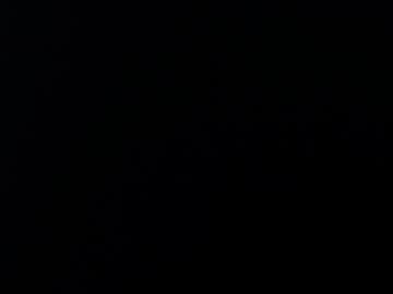 Profile of maynor_1998