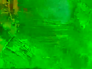 Bibooum Chaturbate profile image