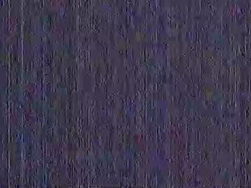 Polochar