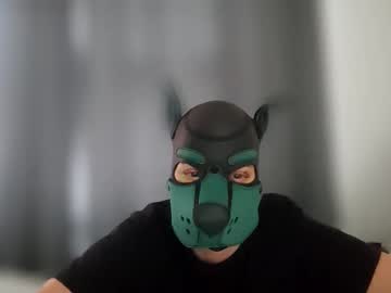 Pup_Kori