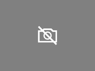 Alex155831 Chaturbate profile image