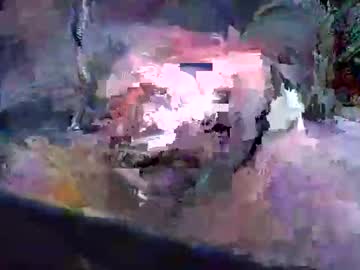 Sfpolkerman Chaturbate profile image