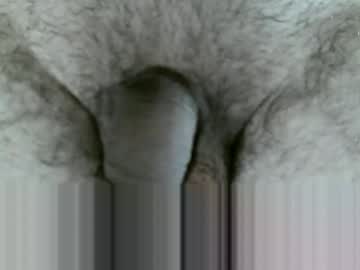 Profile of bombisse