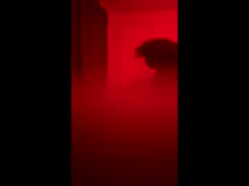 Lex123570655 Chaturbate profile image