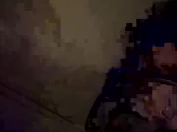 Profile of perdz768563