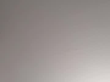 Bastardizer Chaturbate profile image