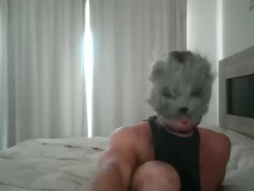 Serfull Chaturbate profile image
