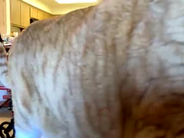 Hope314 Chaturbate profile image