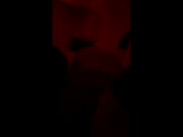 Samayoamax4 Chaturbate profile image
