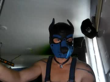 Profile of thatpupknox