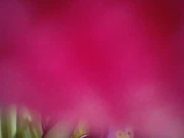 Blackswan66 Chaturbate profile image