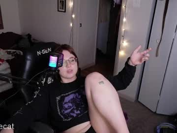 Quinniecat