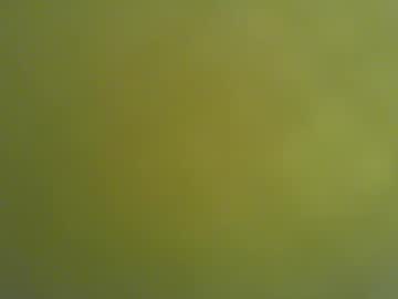 Moecho Chaturbate profile image