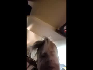 Fkmechap454708045 Chaturbate profile image