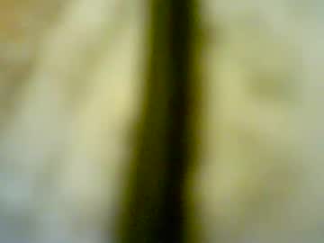 Etim3085 Chaturbate profile image