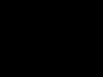 Profile of ibite95528