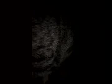 Nickewenepridumal2 Chaturbate profile image