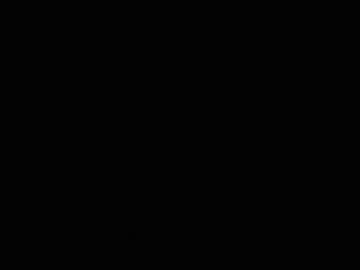 Chinitaluxe