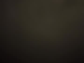 Profile of max_the_austian