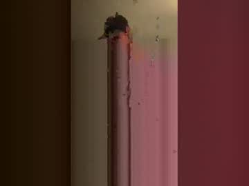 Bottombumbutt Chaturbate profile image
