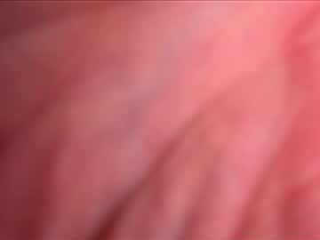 Busuzikit1
