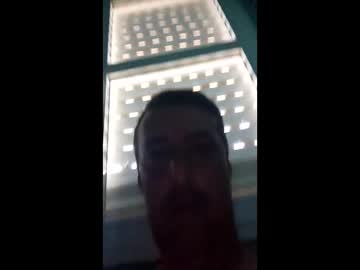 Alejandro847434