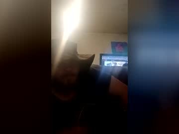 Kingdraco10