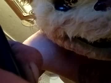 Resteasyboy211 Chaturbate profile image