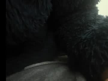 Anal_Latina_Rousse