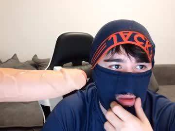 Fox_Maxini